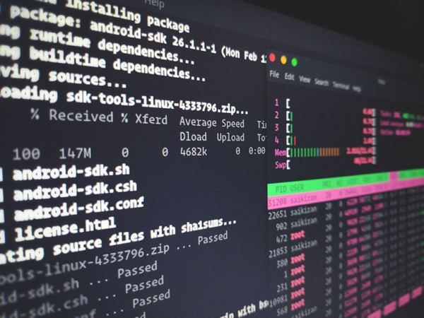 如何在Linux环境中实施有效的网络安全策略？
