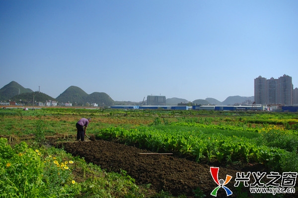希壤怎么买地  第1张