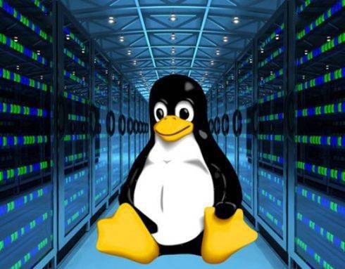 如何成功将系统集成迁移至Linux环境？  第1张