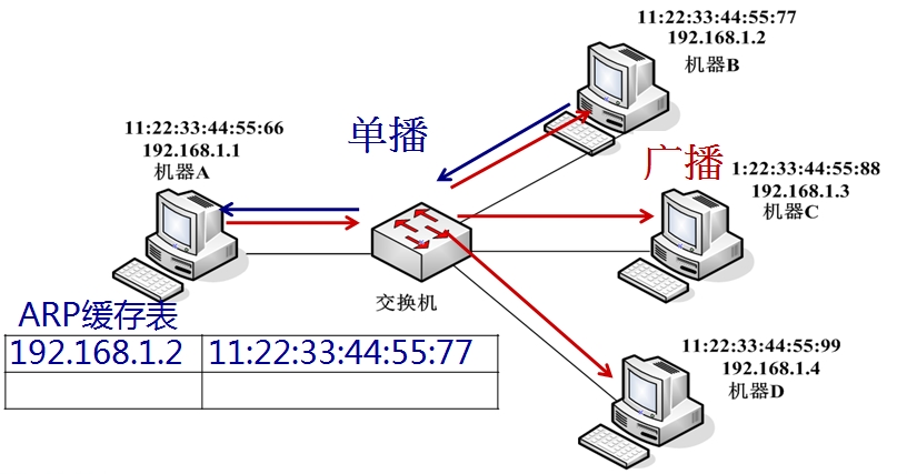 如何使用Linux命令查看ARP缓存表？