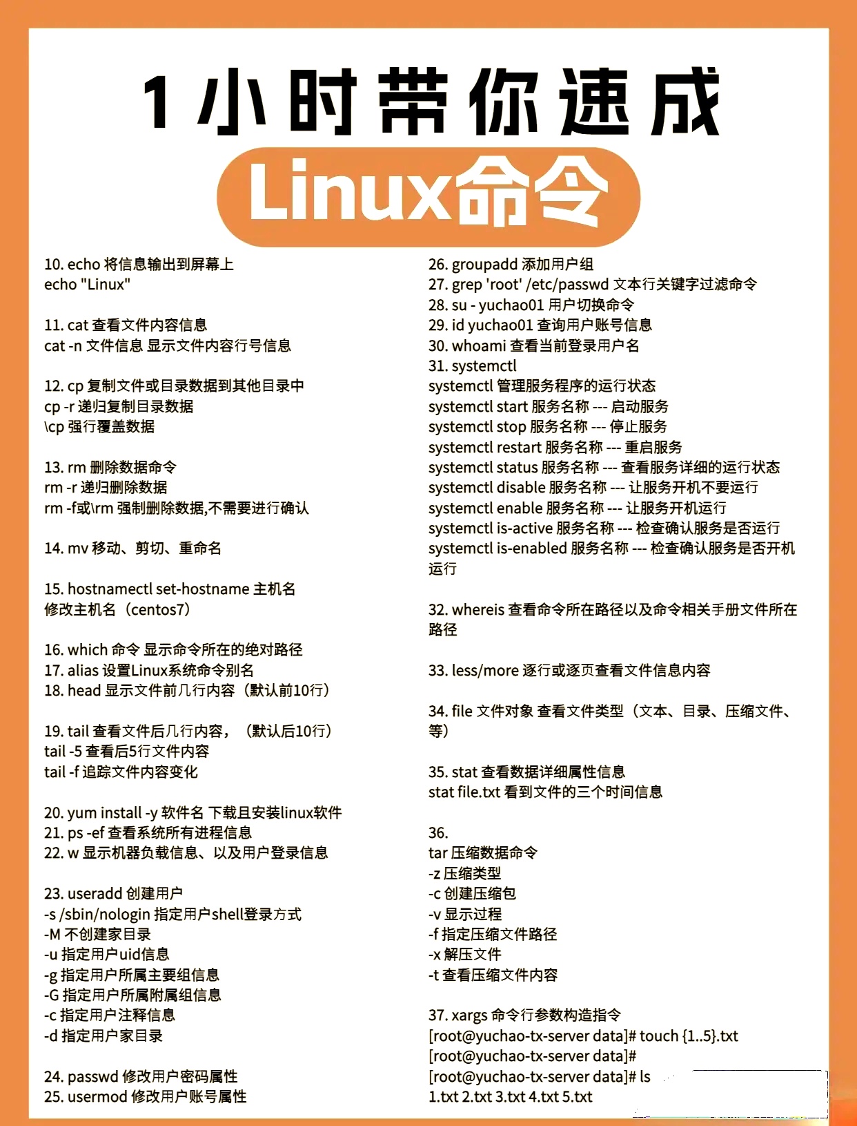 如何通过在线教程掌握Linux命令？