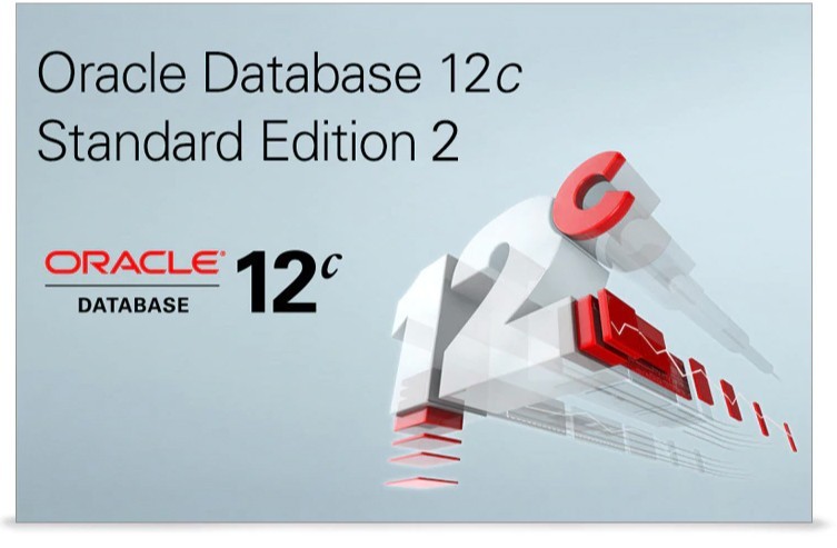 浩瀚数据海洋，Oracle企业版11g开启你的未来  第1张