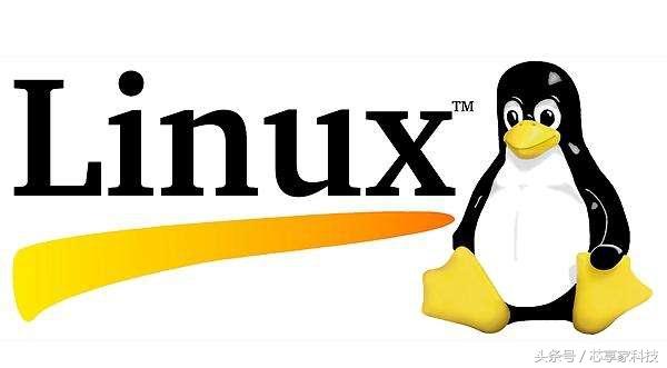Linux主机的外观特征有哪些？