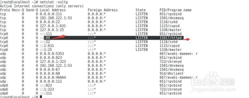 如何在Linux环境下为Apache服务器配置自定义域名？  第1张