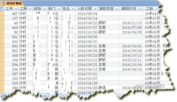 access工资数据库  第1张