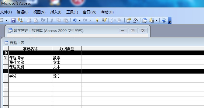 access 数据库 标签 在不同视图 大小变化  第1张