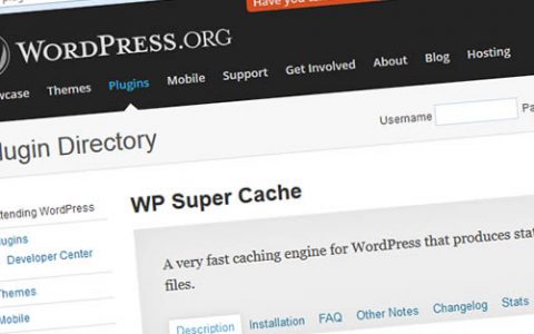 WordPress缓存插件LiteSpeed Cache和WP Rocket，哪个更适合您的网站？