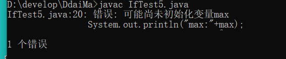 java运行软件报错
