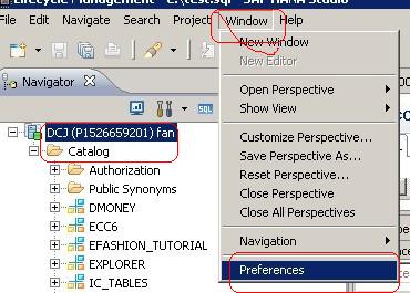 SAP打开报错hostname