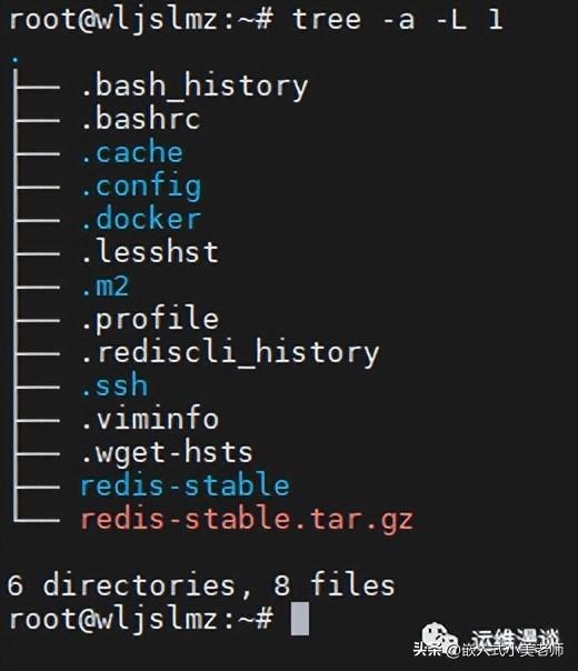 如何在Linux系统中有效查看目录内容？