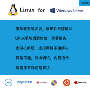 如何进行高效的Linux系统维护操作？