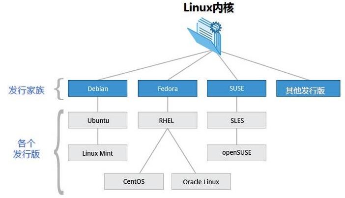Linux网络版本存在哪些特点和优势？
