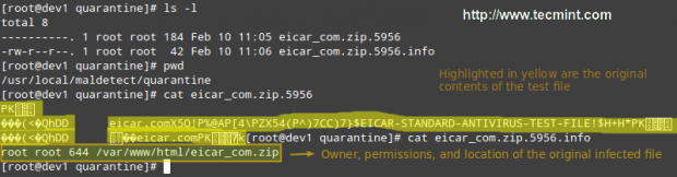 如何使用Linux编码检测工具来确保文件编码正确？  第1张