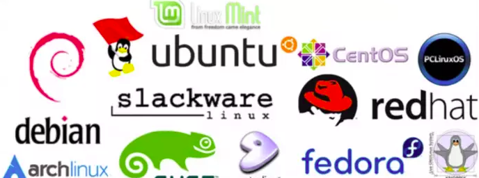 探索Linux世界，如何选择适合你的发行版？
