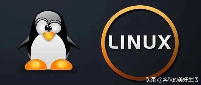 如何在Linux系统中实现完整复制操作？