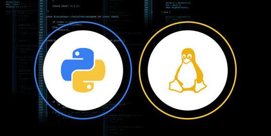 Linux脑裂现象是如何发生的？