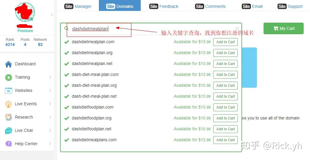 全球视野下的域名选择，哪些国外注册商值得推荐？