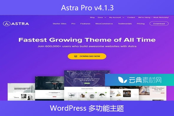 Astra主题的免费与Pro版本，它们之间有何关键差异？