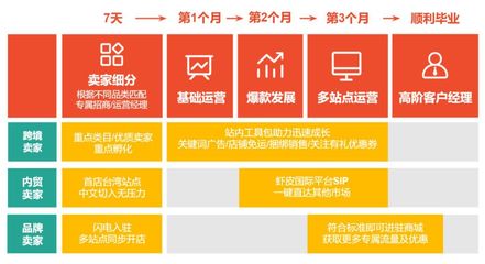 在众多跨境电商平台中，哪个最适合个人创业者开设店铺？