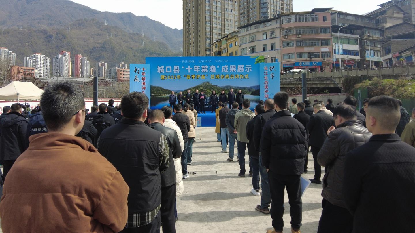 城口网站建设_创建设备  第1张