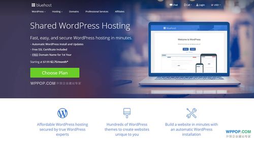 使用WordPress主机，我可以创建哪些类型的网站？