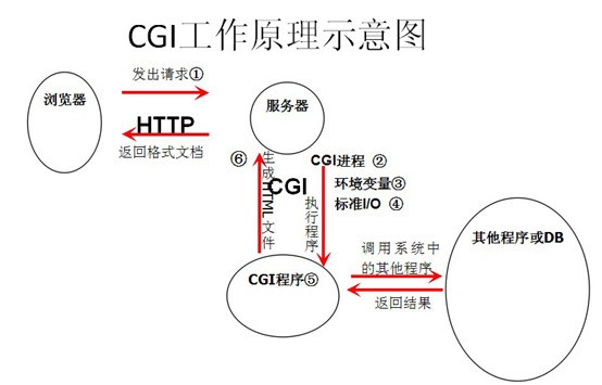 如何搭建一个CGI服务器？  第1张
