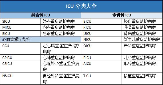 为什么.icu域名能够成为全球市场上的热门选择？
