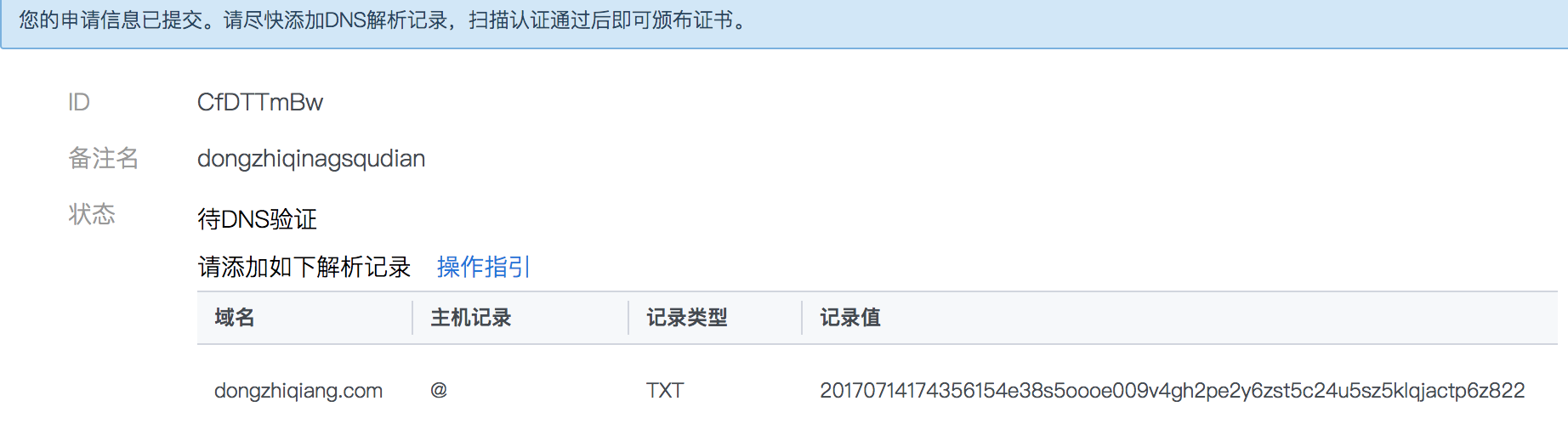 如何有效排查SSL证书手动DNS验证失败的问题？