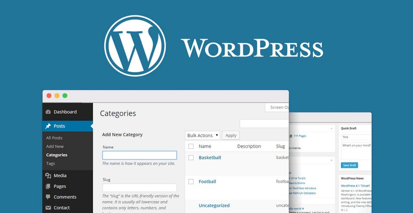 如何有效地在WordPress站点中管理标签？  第1张