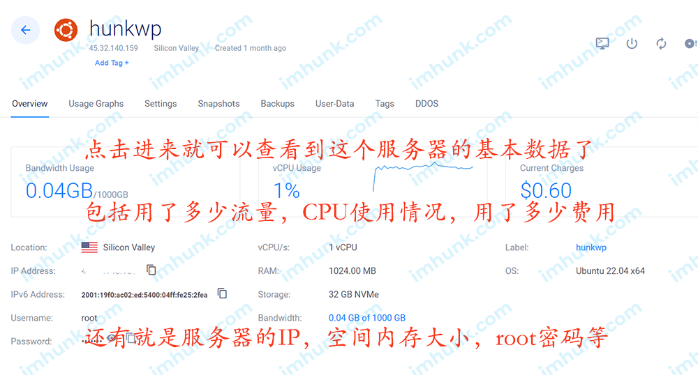 如何查看服务器的版本信息？