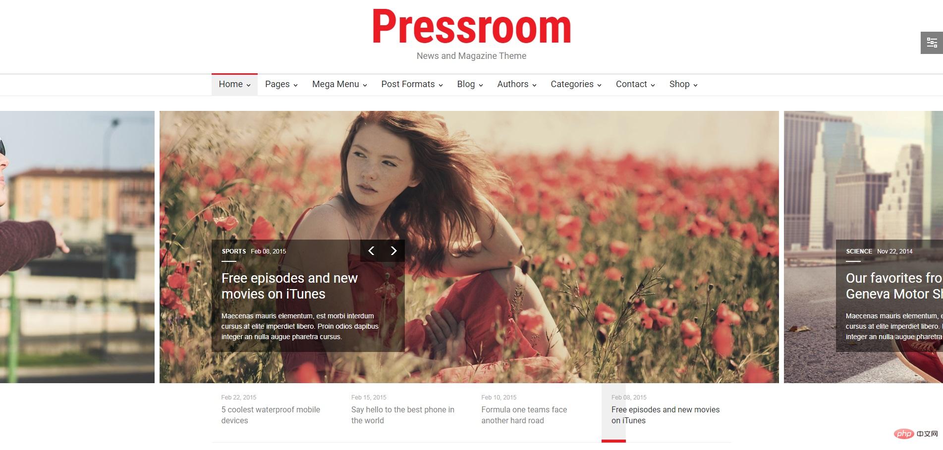 哪些免费WordPress主题模板既实用又值得推荐？  第1张
