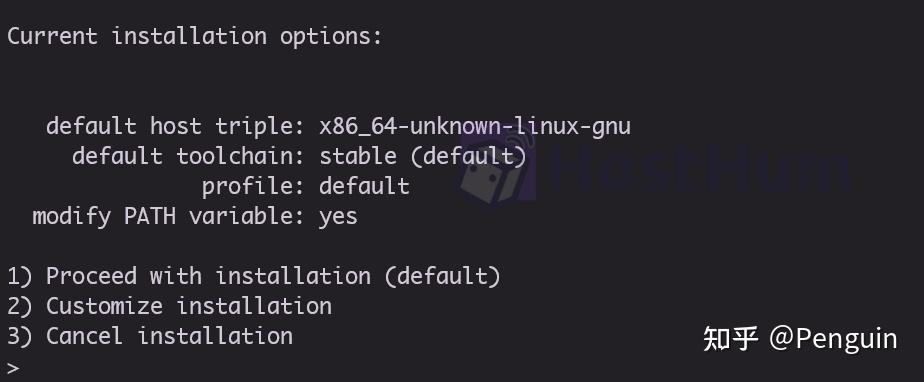 如何在Debian 11上安装Rust编程语言？  第1张