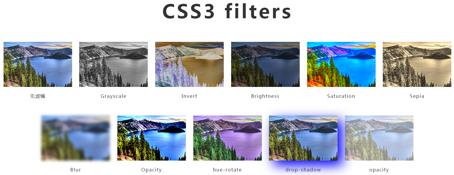 如何利用CSS3实现独特的图片过滤效果？