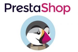 如何在PrestaShop中成功绑定域名？