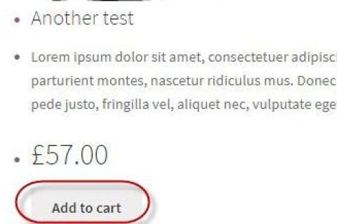 如何在WooCommerce购物按钮下方添加询盘按钮？  第1张