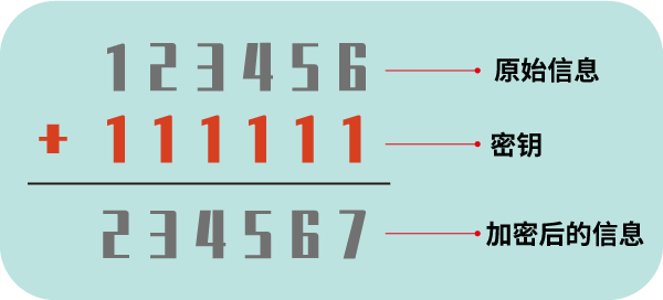 1端口，这个神秘的数字背后隐藏着什么秘密？