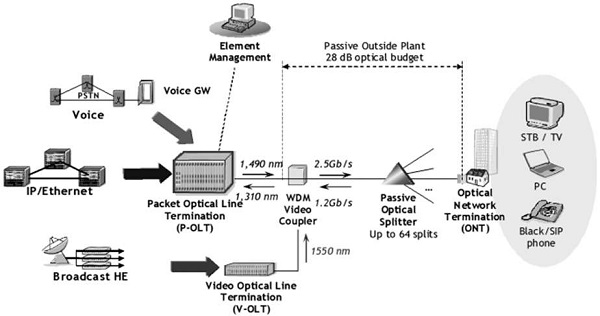 什么是Gigabit，它在网络技术中扮演什么角色？