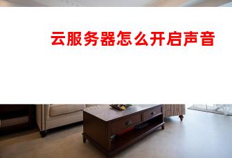 服务器可以打开声音  第1张
