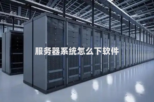服务器可以改系统软件