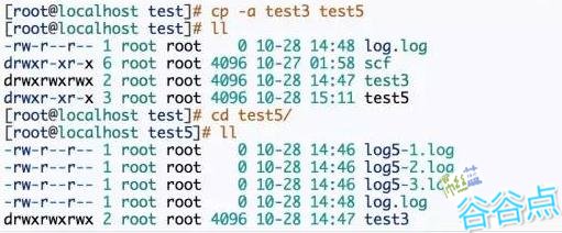 如何在Linux系统中使用cp命令来复制整个目录？
