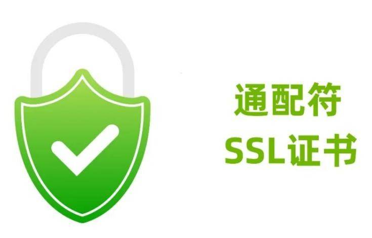 通配符证书与标准SSL证书，它们有何不同？  第1张
