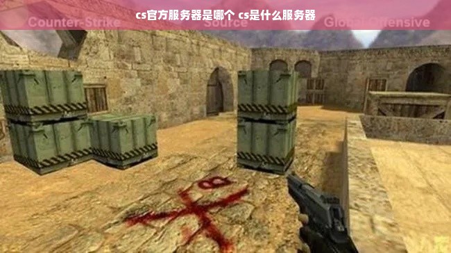 cs用什么服务器  第1张