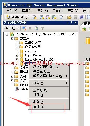 为什么无法将数据库粘贴到服务器上？