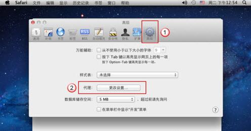 如何在Safari浏览器中调整代理服务器的设置？  第1张