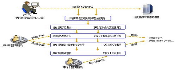 cs数据库系统的特点是  第1张