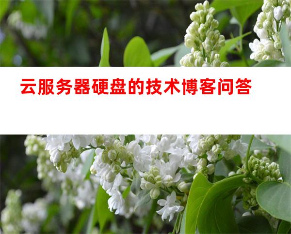 服务器建云盘的技术博客问答