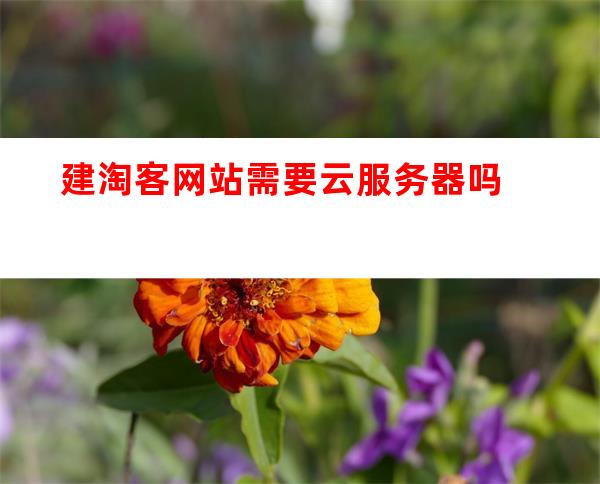 服务器开淘宝客网站  第1张