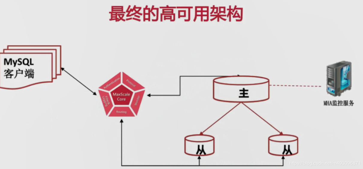 MySQL服务器的作用和重要性是什么？  第1张