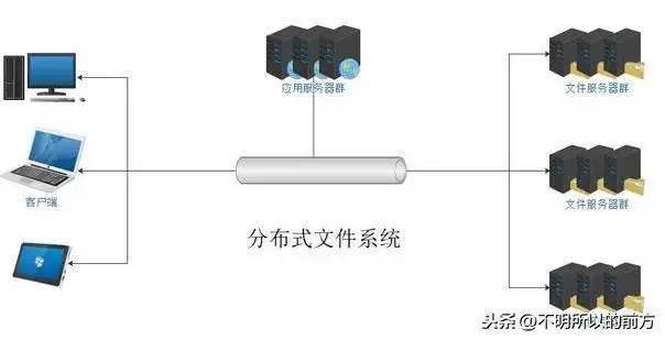 分布式存储系统是否支持多种文件系统？