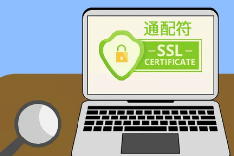 如何为企业挑选最适合的通配符SSL证书？